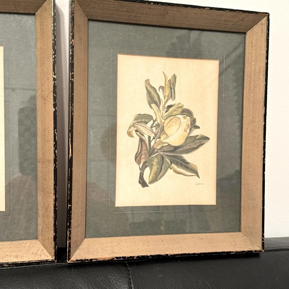 2 Vintage 1950s Framed Camellia &  agnes harrison Lithographs 11.25